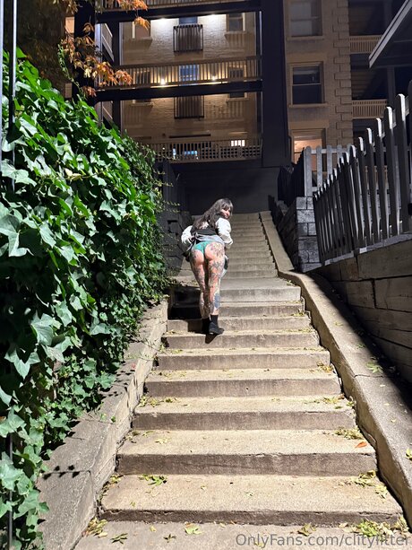 Clitylitter star perfect galleries