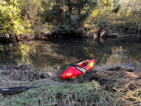 Lucasjacobs170 erotic actress pics