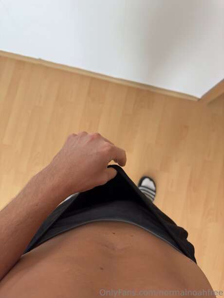 Normalnoahfree star top archive