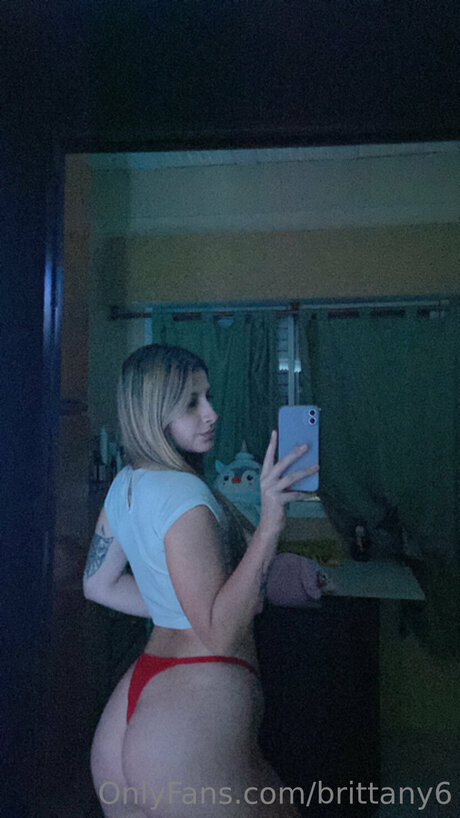 Brittany6 model adult img