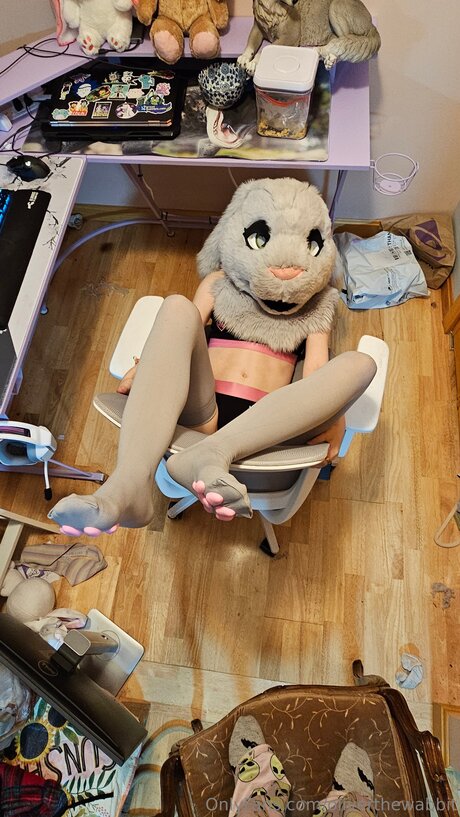 Oliverthewabbit star erotic image