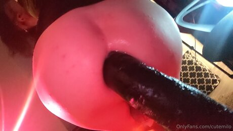 Cutemilo top model picture