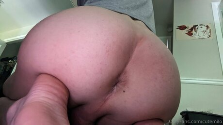 Cutemilo art model pictures