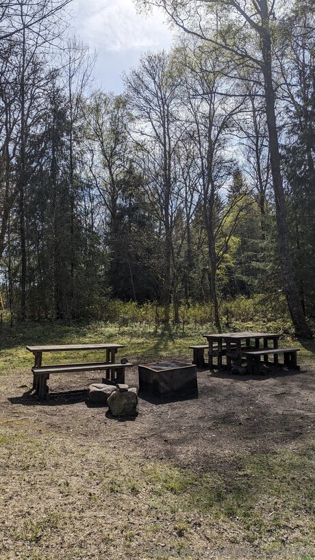 Night Switcher xxx star galleries