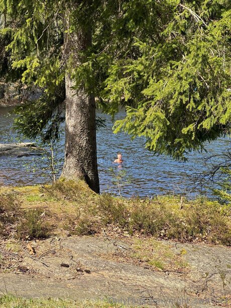 Night Switcher pornstar sexy archive