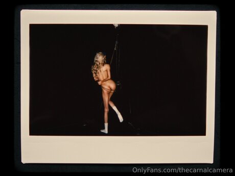 Thecarnalcamera star nude archive