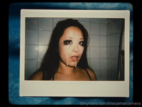 Thecarnalcamera pornstar nude pic