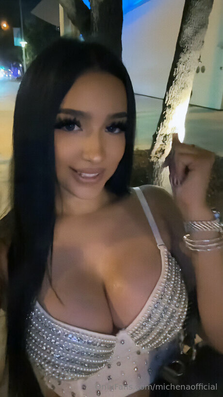 Michenao model art picture