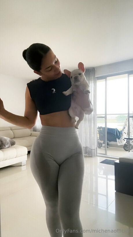 Michenao nice star galleries