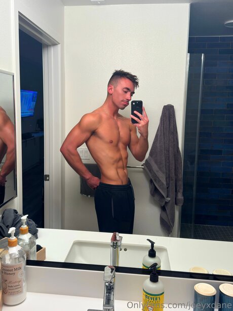 Joeyxdane star art gallery