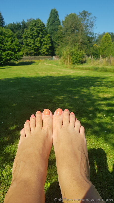 Maya Dreamx star art pic