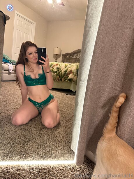 Hanihachi star adult pictures