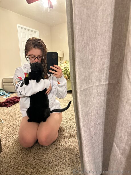 Hanihachi hd star image