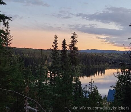 Daisyknickers xxx actress gallery