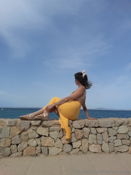 Anto Mey star perfect img