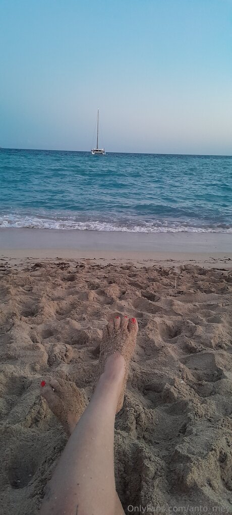 Anto Mey top star archive