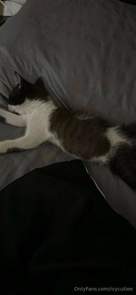 Ivycutiee model sex image