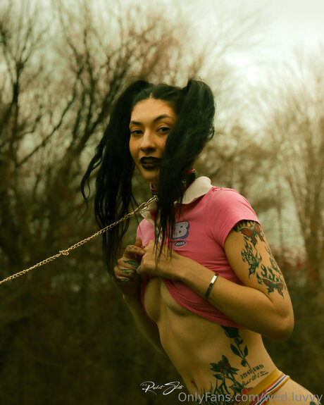 Wed Luvvy star nice gallery