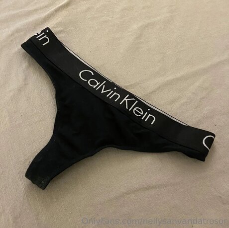 Nellysanvandatrosor pornstar beautiful pic