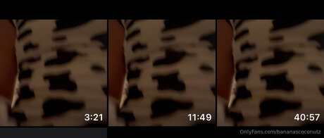 Kellycalifree beautiful model img