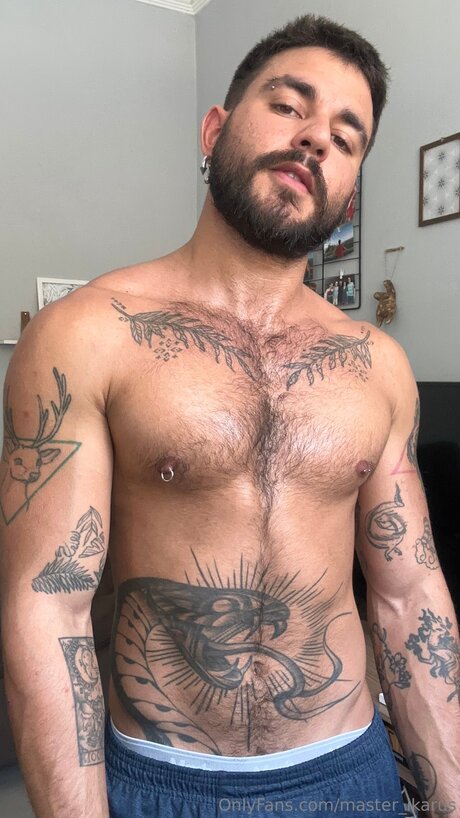 Master Ikarus beautiful model pictures