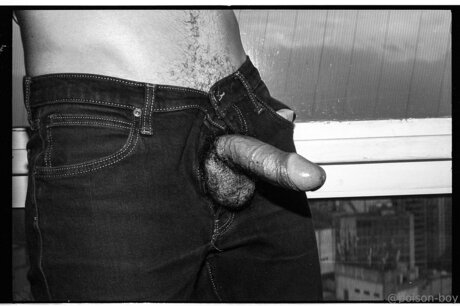 Poison Boy best actress image