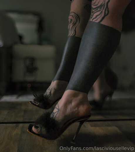 Lasciviousellevip pornstar photos