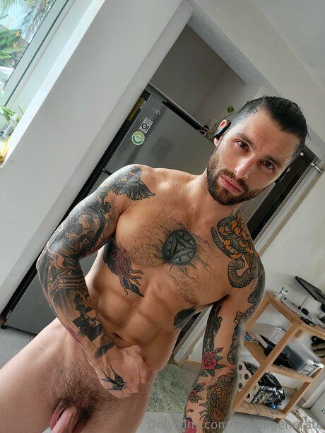 Irondegenerate hd model photo