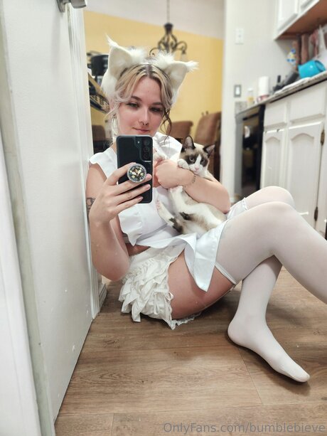 Bumblebieve model perfect picture