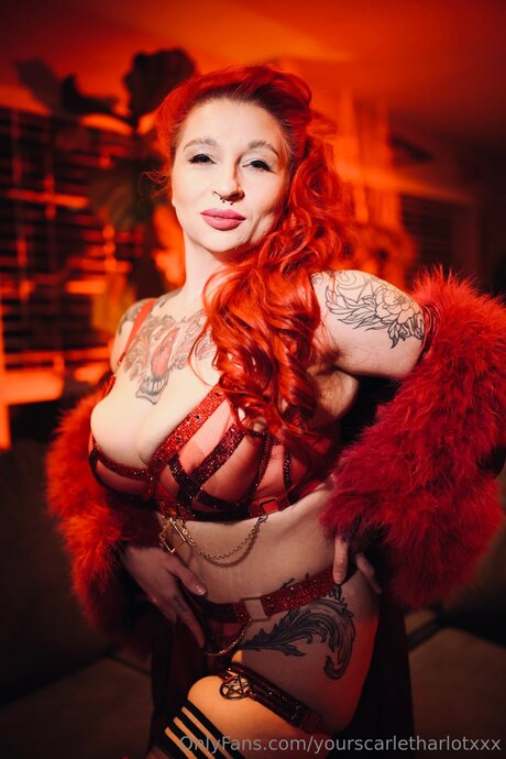 Yourscarletharlotxxx model nice picture