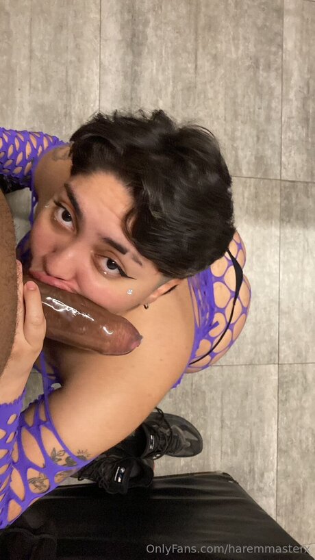 Haremmasterx porn actress galleries