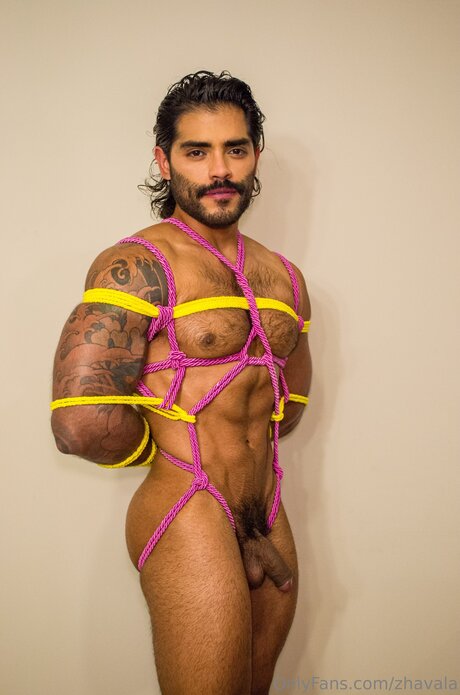 Zhavala star art archive