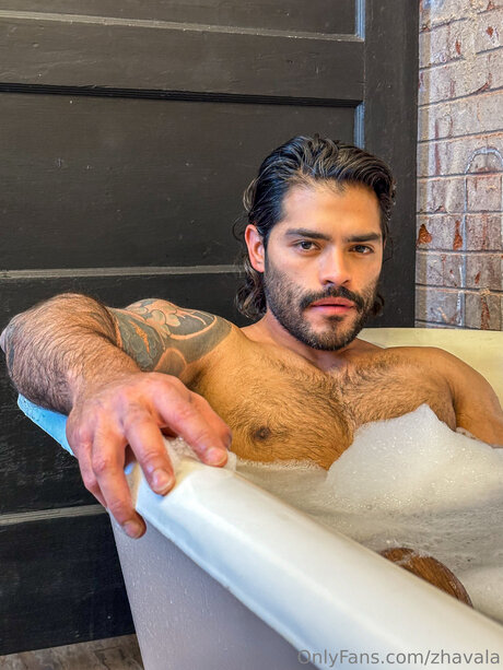 Zhavala star top image