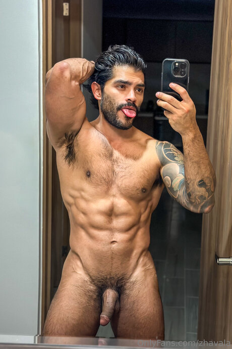 Zhavala free star images