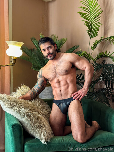 Zhavala pornstar adult pictures