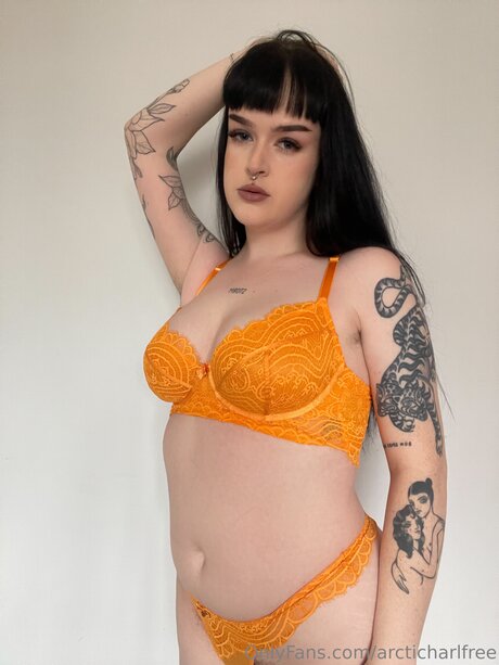 Otherarcticharl star high quality archive