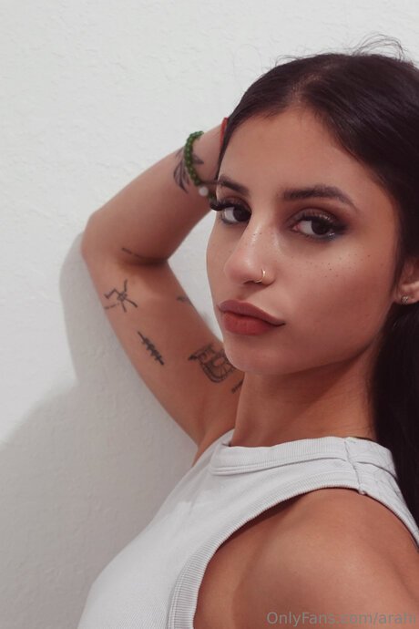 Arahi art model archive