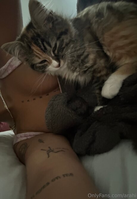 Arahi pornstar pretty archive