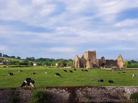 Astraaurora1111 best star gallery