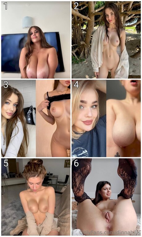 Dinnahills high quality star galleries