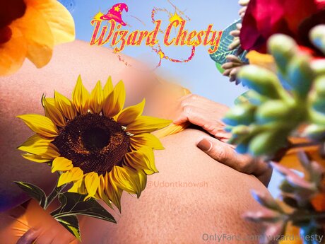 Wizardchesty hot pornstar photo