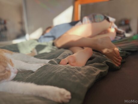 Miomio Uwu pornstar xxx photo