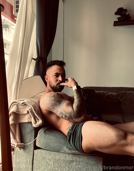 Brandonmor star pornographic photos