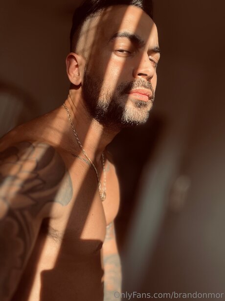 Brandonmor model porn photos