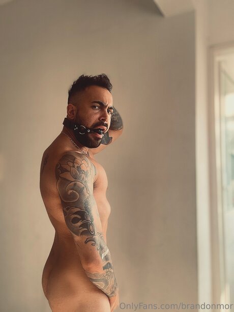Brandonmor pornstar hd image