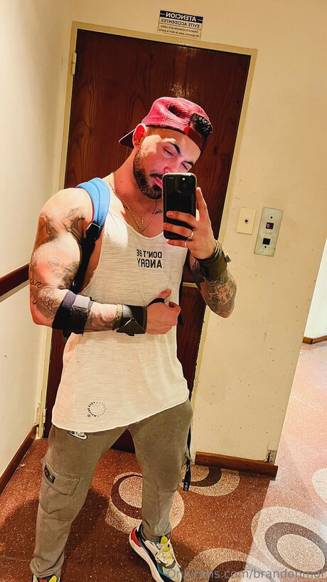 Brandonmor high quality star gallery