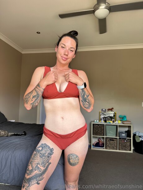 Whitraeofsunshine star art pictures