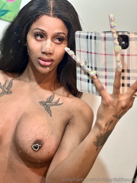 Crissydollhouse model art galleries