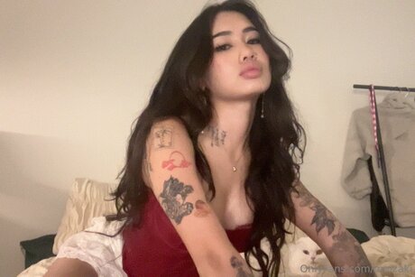 Carrotscake best model pics