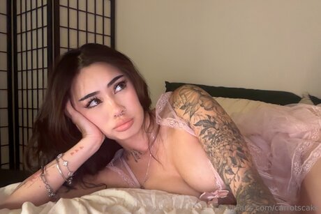 Carrotscake star perfect image